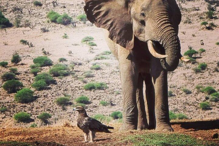 Two-Day Amboseli National Park Private Jeep Tour