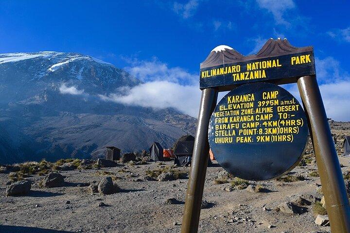 6 Days Mount Kilimanjaro Machame Route