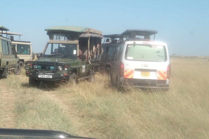Early Morning Group Tour Nairobi National Park 5 Hour Game Drive