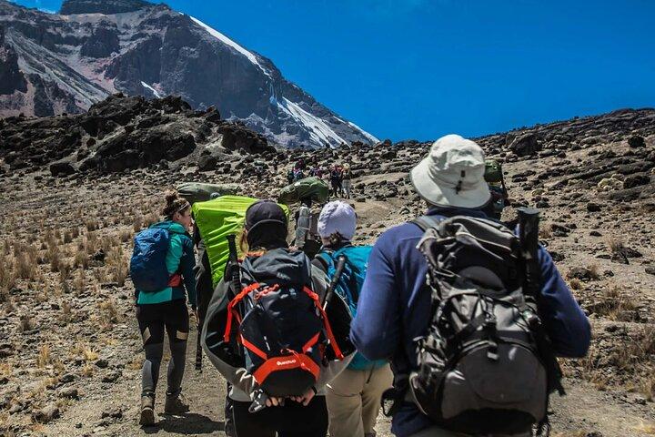 6 Days Mount Kilimanjaro Rongai Route