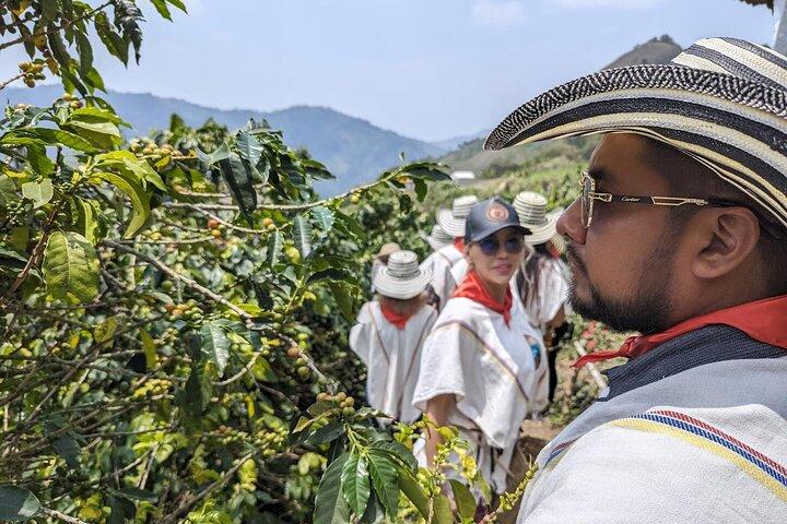 Horseback Riding Tour and Coffee Tour with Lunch and Refreshment