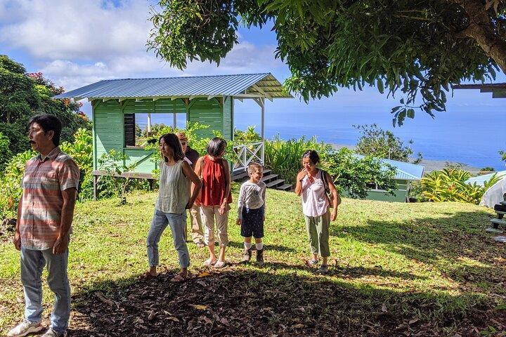 Hala Tree Coffee Farm Tour
