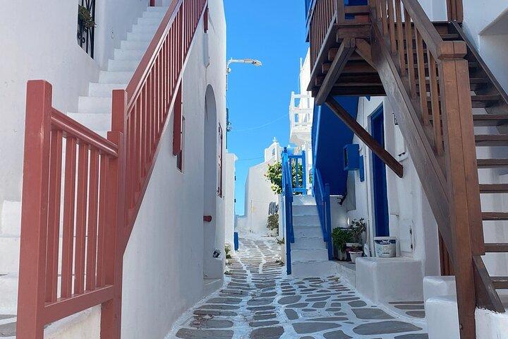 Flexible Private Tour Of Mykonos From 1 To 8 Hours