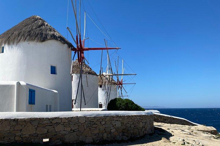 Flexible Private Tour Of Mykonos From 1 To 8 Hours