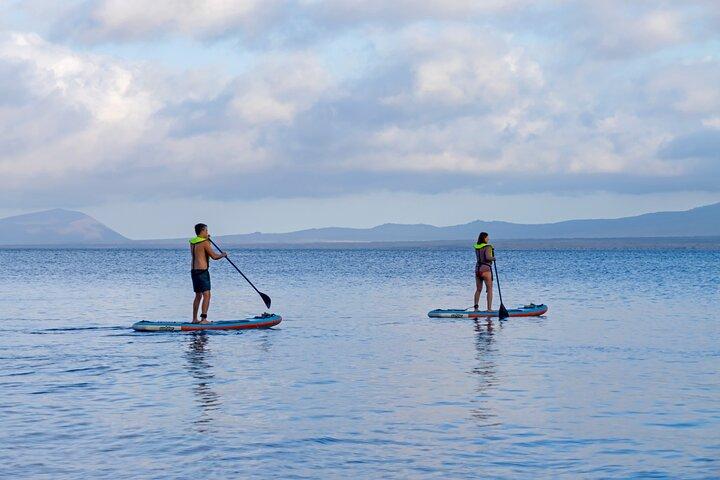 Enjoy the Best of Quito and Galapagos (3 Islands ) 8-Day Trip