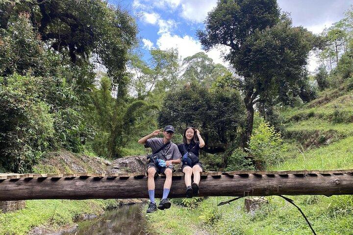 Kilimanjaro Cultural Tour: Chagga, Songs, Cuisine & Community