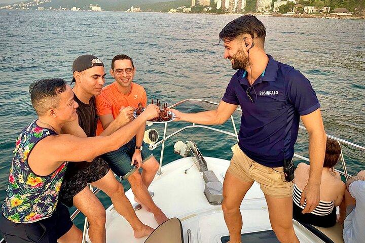 Puerto Vallarta: Luxury Yacht Sunset Cruise with Premium Open Bar