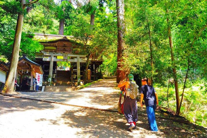 Kyoto: Kurama Temple and Mountain Legends Guided Hike