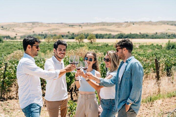 Toledo Tour & Vineyard Experience with Wine Tasting from Madrid