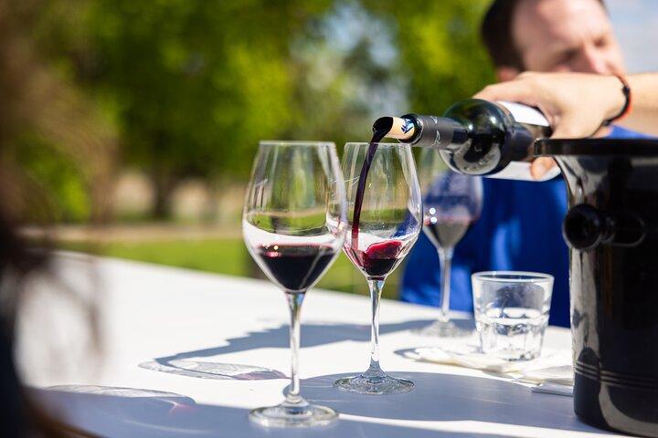 Medoc Afternoon Wine Tour - 2 Wineries, tastings & delicacies