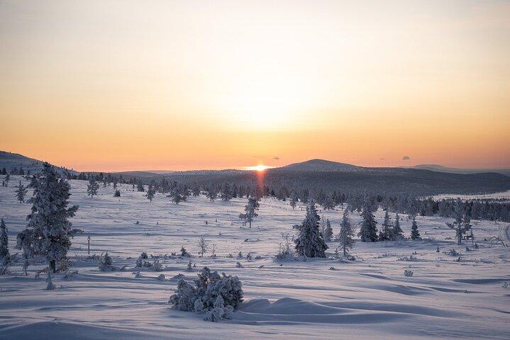 Half-Day Backcountry Skiing Tour in Levi with Photography Guide
