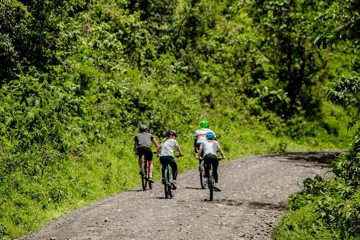 1_Day Bike Tour to Chemka Hotspring
