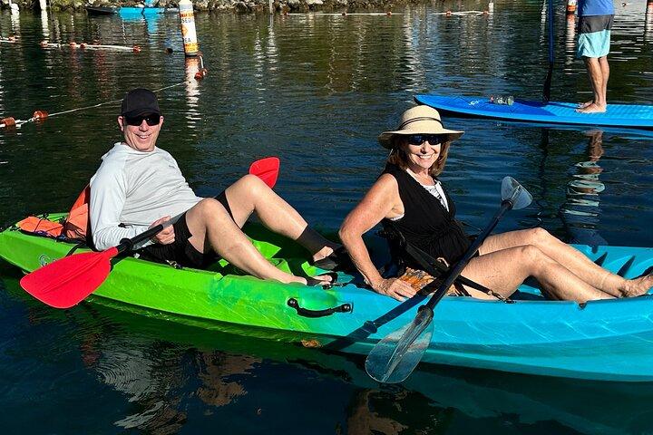 Crystal River: Tandem Kayak Rental to Three Sisters Springs