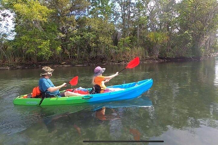 Crystal River: Tandem Kayak Rental to Three Sisters Springs