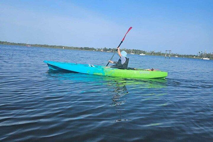 Crystal River: Single Person Kayak Rental Three Sisters Springs
