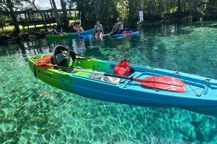 Crystal River: Three Sisters Single Kayak Dry Tour