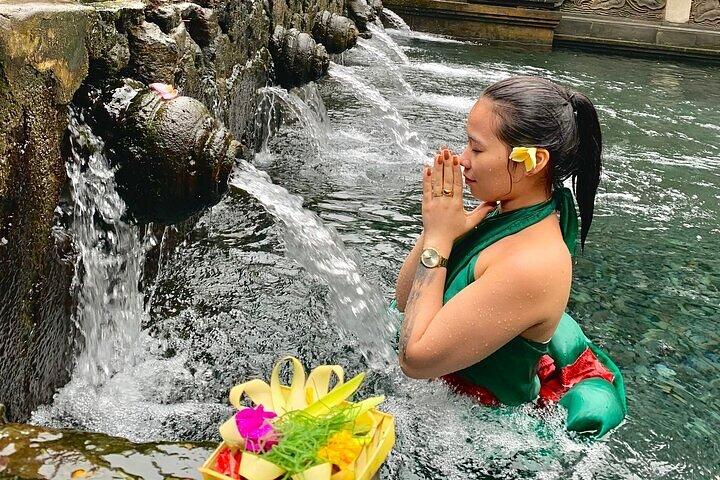 Bali Ubud Tour Monkey Forest, Waterfall, Temple & Rice Terrace