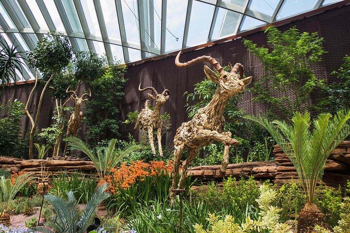 Singapore OCBC Skyway Flower dome Cloud Forest Garden by the Bay