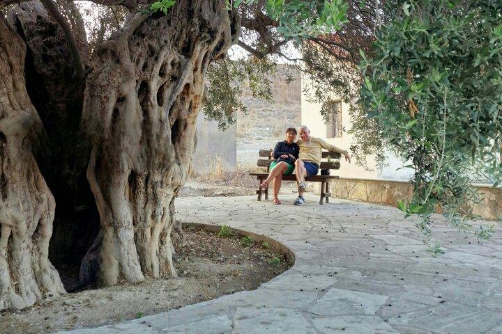Paphos - Troodos Mountains: To the highest peaks.