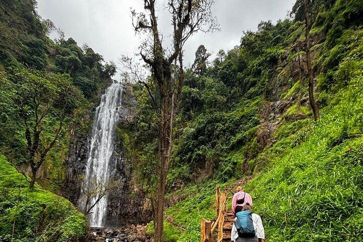 Day trip to Maasai village + Materuni waterfalls and coffee tour