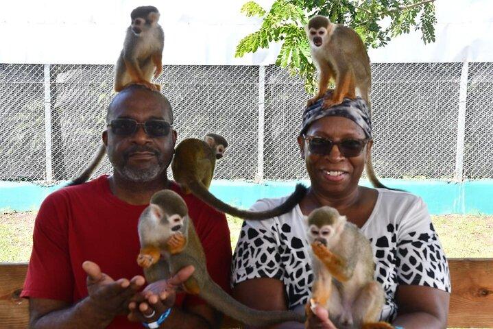 Monkey Home Puerto Plata Countryside Tour