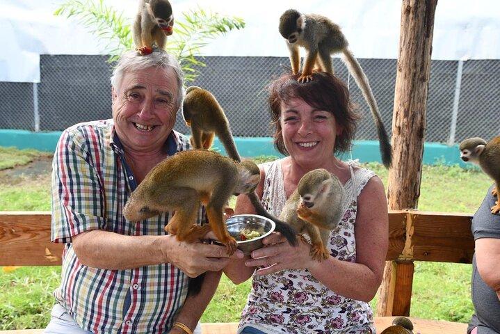 Monkey Home Puerto Plata Countryside Tour