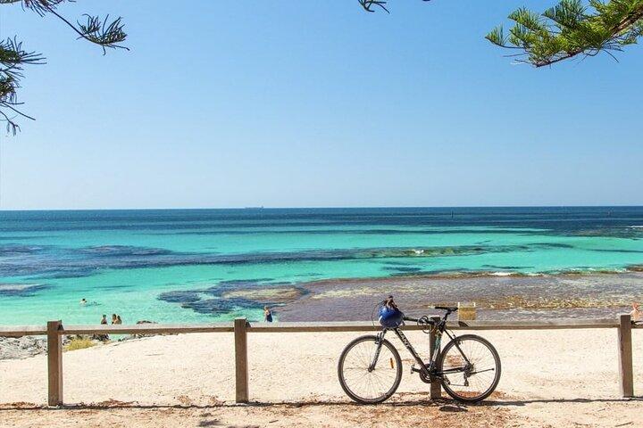 City Tour Perth and Fremantle and Rottnest Island and Swan River