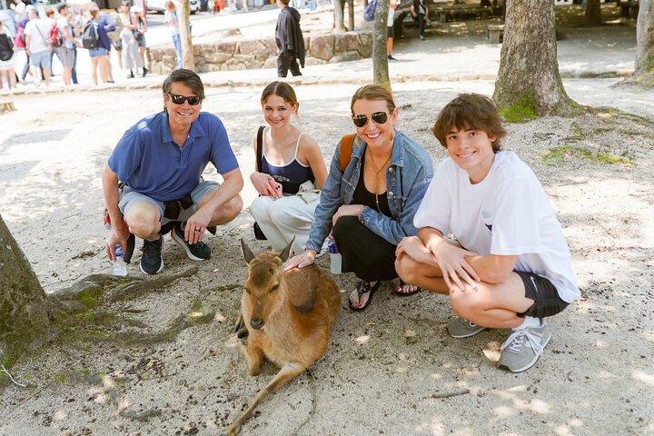Hiroshima & Miyajima Private Custom Tour with Local Guide