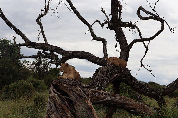 5-Day Group Camping Safari Adventure