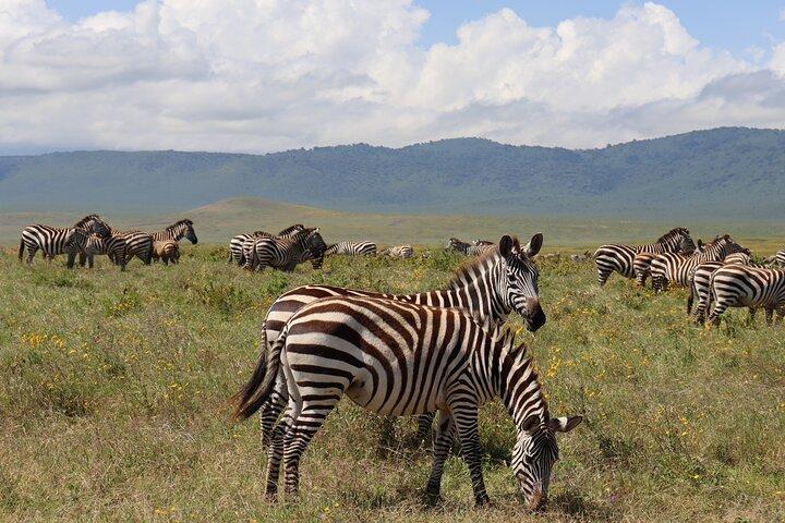 5-Day Group Camping Safari Adventure