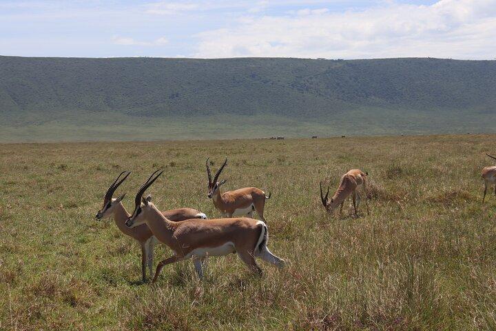 5-Day Group Camping Safari Adventure