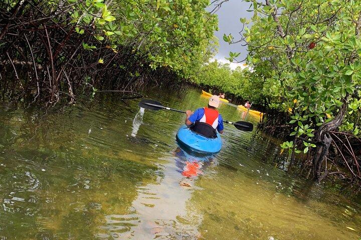 Uzi Island Eco-Kayak Adventure