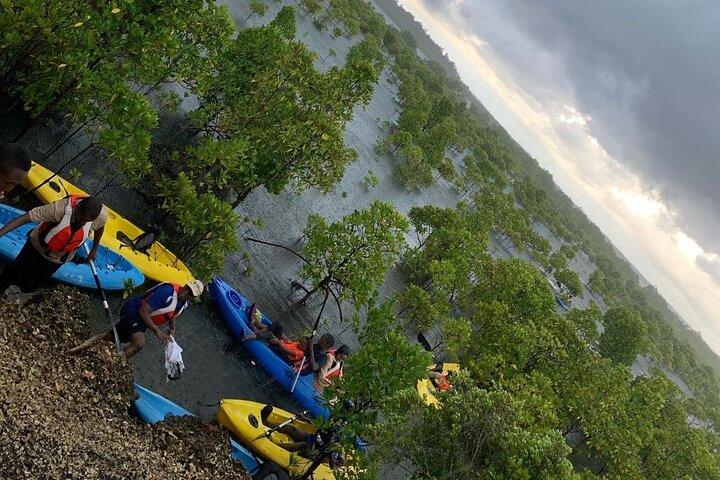 Uzi Island Eco-Kayak Adventure