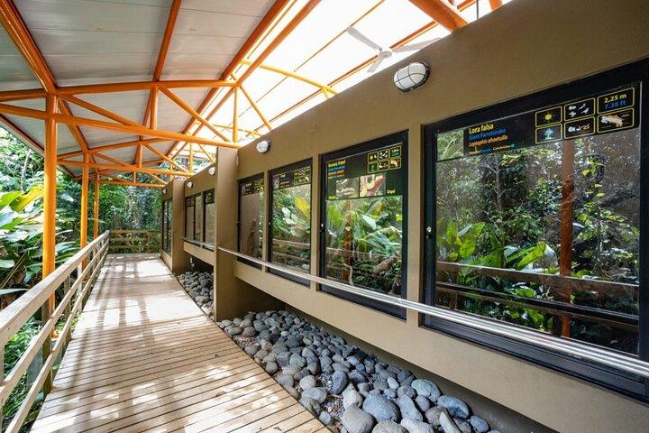 Veragua Rainforest Eco-Adventure + Aerial Tram + Tortuguero Canal