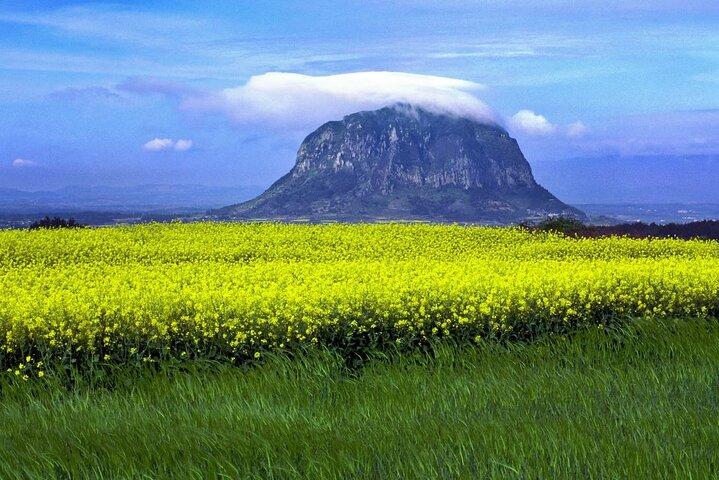 Full Day 12 hours whole Jeju Island private flexible tour