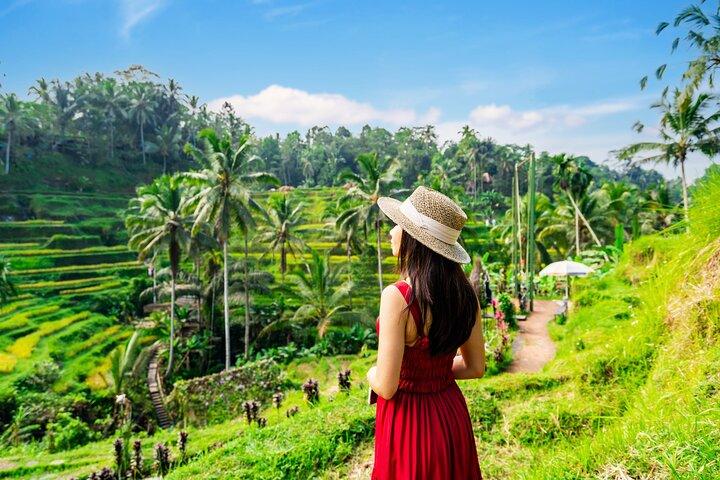 Jungle Swing, Monkey Forest, Rice Terrace and Temple Tour in Bali