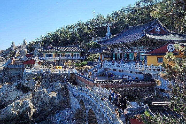 Busan Tour: Sky Capsule, Gamcheon, Haeundae Blueline Park & more