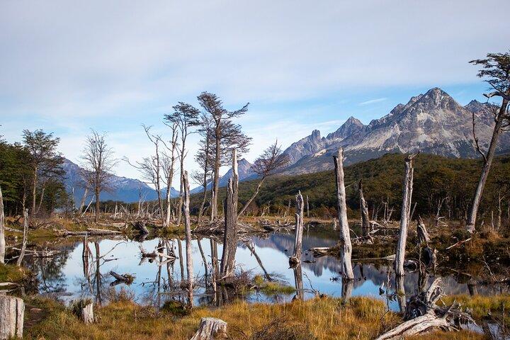 Trekking Tour Laguna Esmeralda and Fuegian Valleys