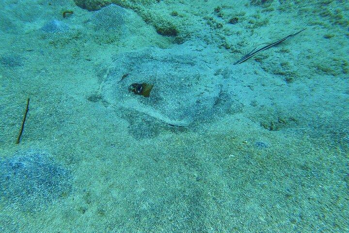 Family Snorkeling Tour