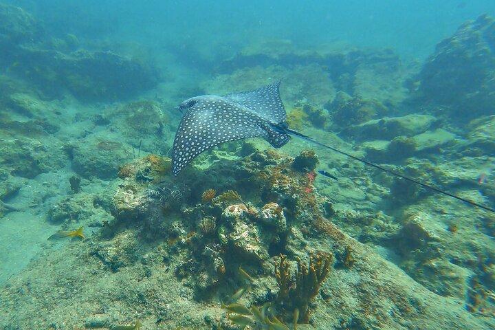 Family Snorkeling Tour