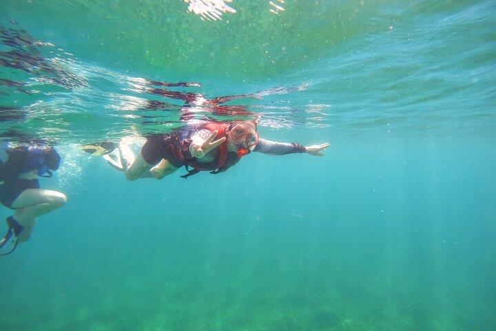 Family Snorkeling Tour