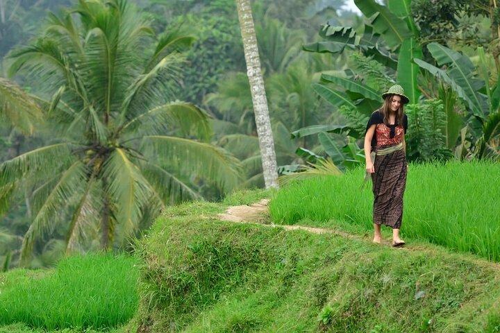 Half Day Tour Ubud Rice Terrace with Activities and Waterfall