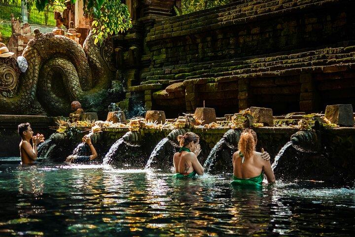 Jungle Swing, Monkey Forest, Rice Terrace and Temple Tour in Bali