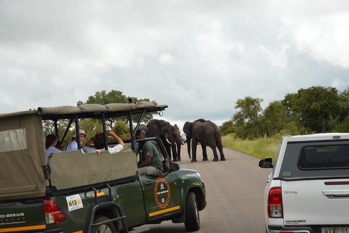 Pilanesberg Full Day Safari Tour with Lunch from Johannesburg