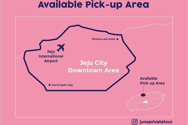 Small Group Tour for Jeju Hydrangea & Mt. Halla incl. Admissions