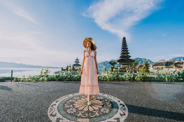 North Bali Tour with Twin Waterfalls and Temple