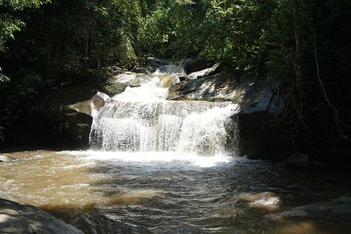 Chiang Mai Trekking Tour Full day