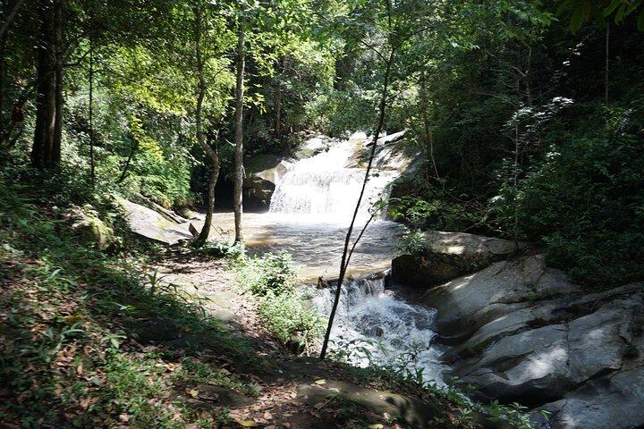 Chiang Mai Trekking Tour Full day