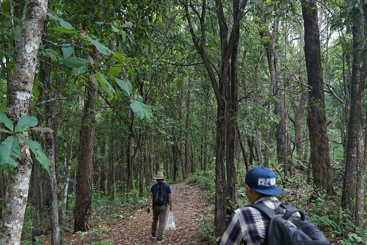 Chiang Mai Trekking Tour Full day