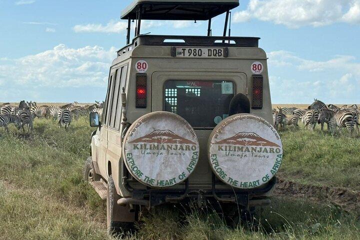 Tanzania 5 Big Safari